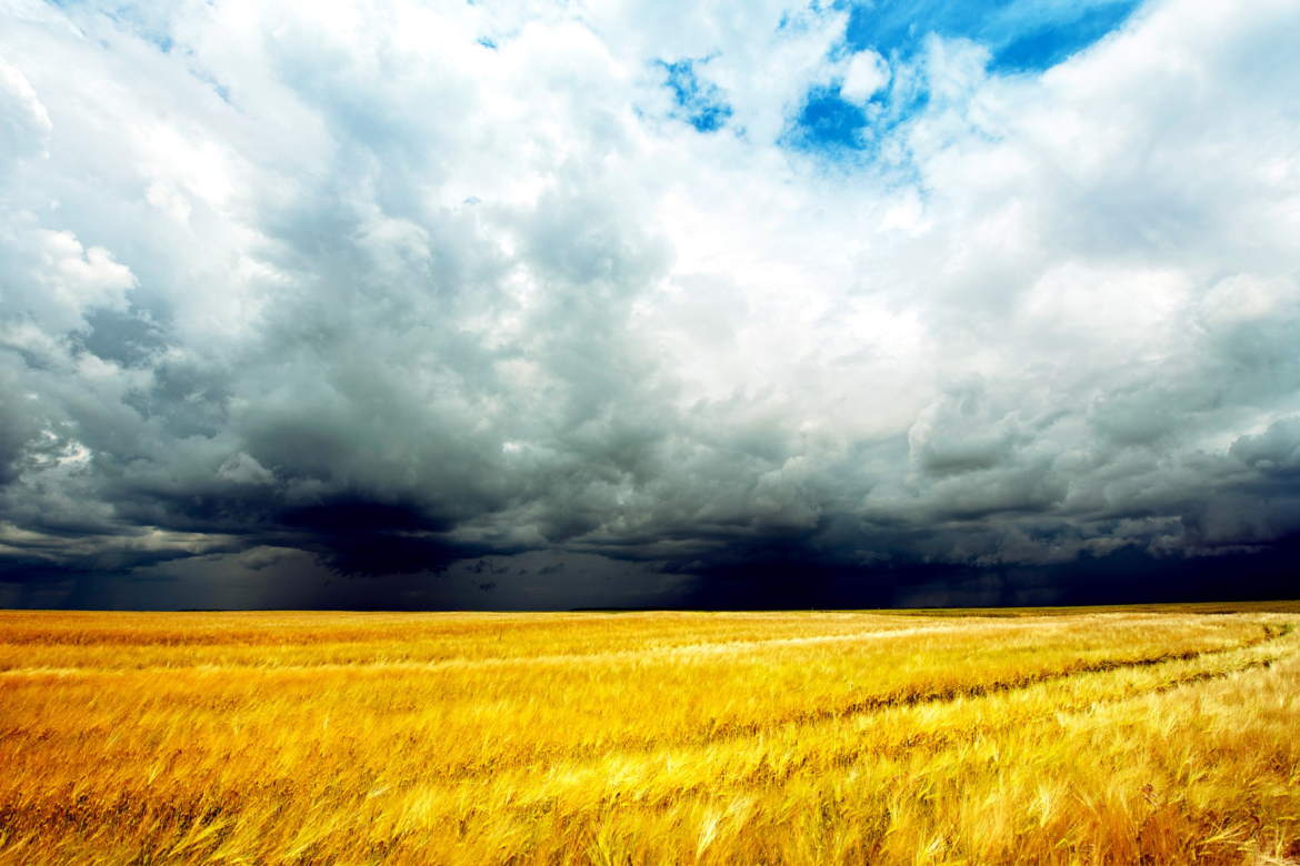 Header-Storm_Over_Wheat-1800x1200-1.jpg